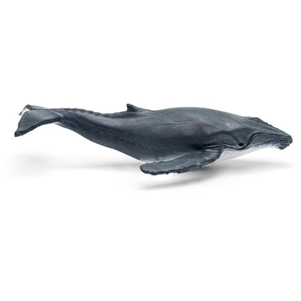 Tonies Was Ist Was - Wale & Delfine / Geheimnis Der Tiefsee, Spielfigur 4 Tonies Was Ist Was - Wale & Delfine / Geheimnis Der Tiefsee, Spielfigur – Bild 2